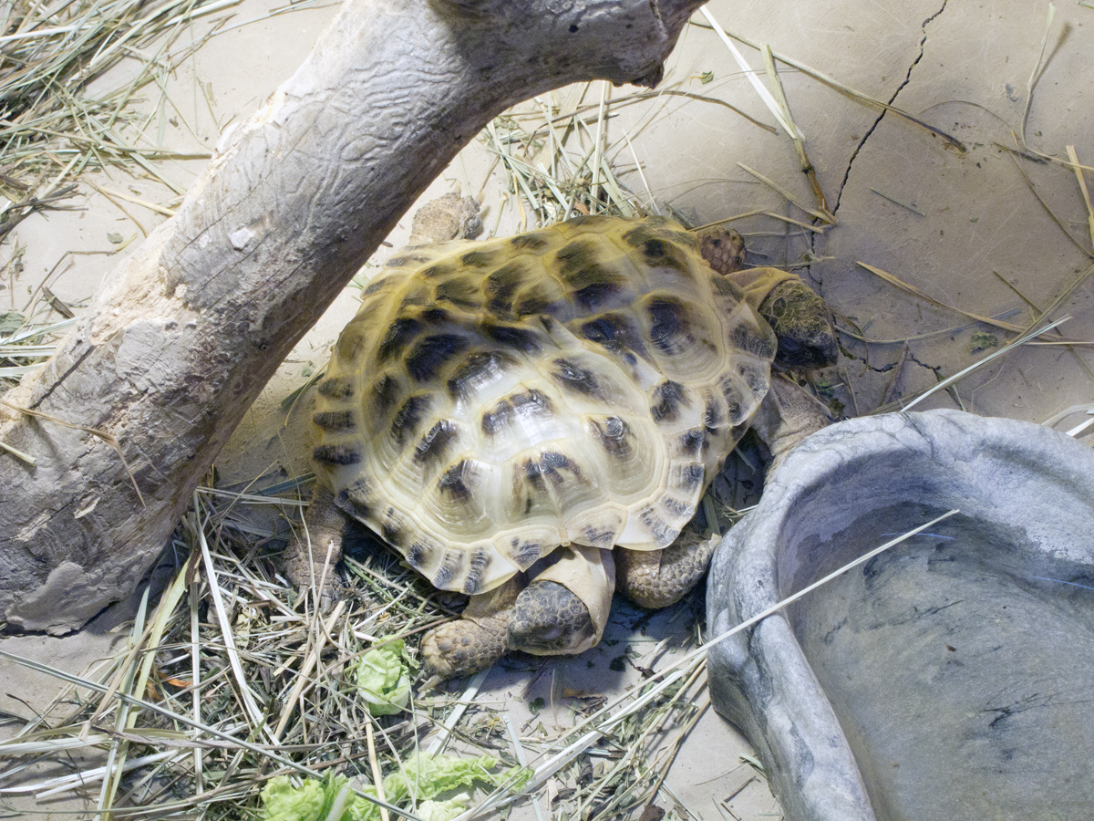 by Christian v/d Kooy